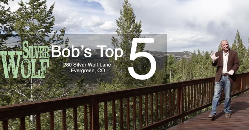 Bob's Top 5 Reasons To Love Silver Wolf in Evergreen